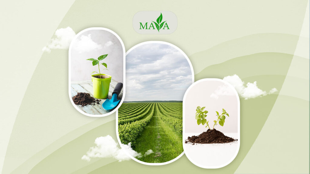 <strong>What is chelated fertilizer? All about chelated fertilizer in Mayaroshd</strong>