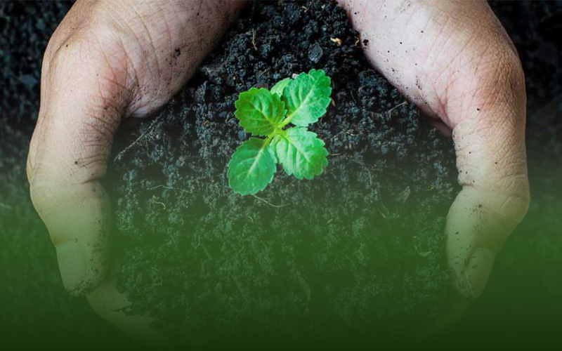 هیومیک اسید