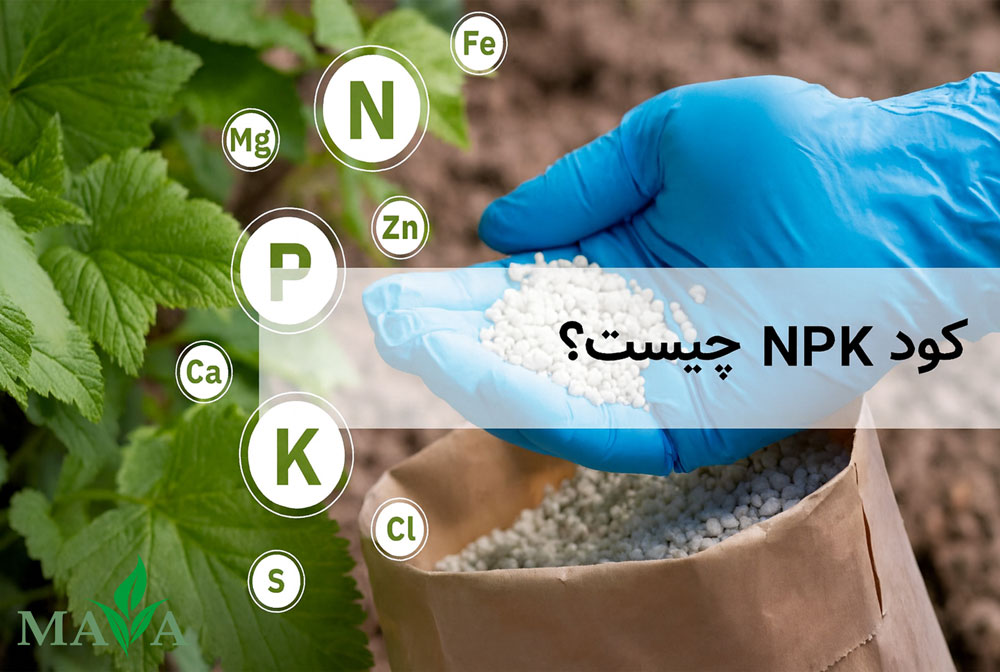 کود 3 عنصری NPK چیست؟ معرفی نسبتها، انواع و نحوه خواندن برچسب کودها کود 3 عنصری NPK چیست؟ معرفی نسبتها، انواع و نحوه خواندن برچسب کودها